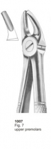  Fig. 7 upper premolars 